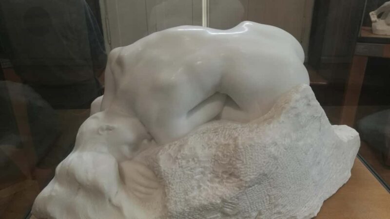 Paris: Musée Rodin A Private Tour - an artists insight - Why Choose This Tour?