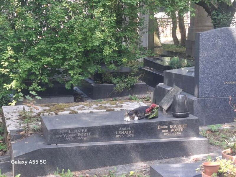 Paris: Myths and Legends of the Père Lachaise Cemetery in Spanish - Who Will Love This Tour?