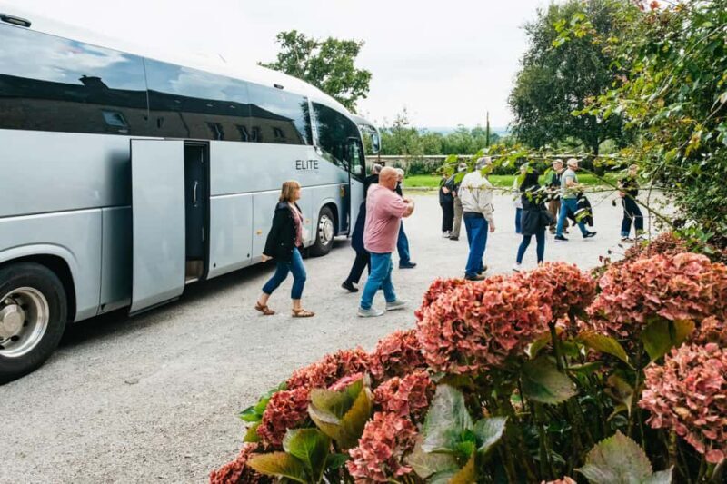 Paris: Normandy D-Day Sites Guided Day Trip with Lunch - Who Is This Tour Best For?