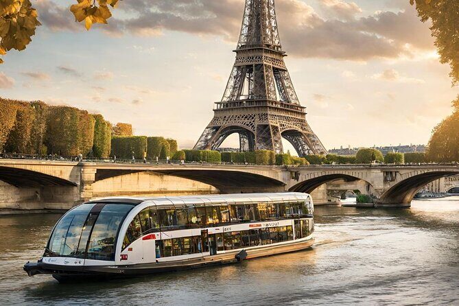 Paris Olympic Venue Highlight: Car Tour - Final Thoughts: Who Is This Tour Best For?