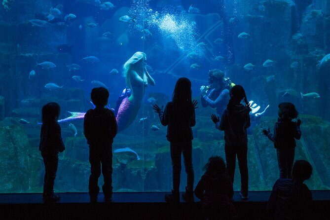 Paris Pass with over 90 Top Attractions including Notre Dame Tour - Frequently Asked Questions