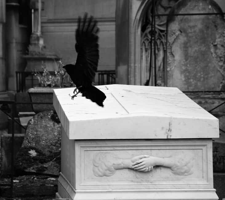 Paris: Père Lachaise Cemetery Guided Tour in Polish - The Value of the Tour