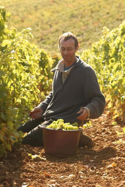 Paris: Prestige Sancerre Wine Tour with 10 Tastings & Lunch - An In-Depth Look at the Sancerre Wine Tour