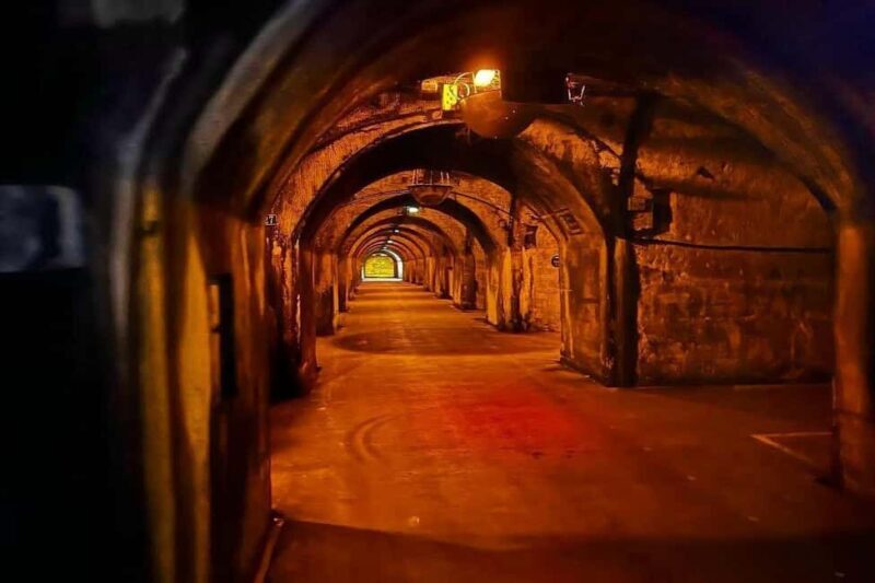 Paris: Private Champagne Tour  Picnic & Tasting + Gift - Exploring the Details of the Champagne Private Tour