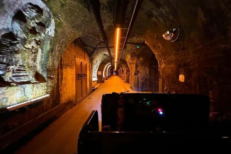 Paris: Private Champagne Tour  Picnic & Tasting + Gift - Who Will Love This Tour?