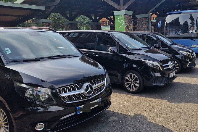 Paris Private City Tour Experience - Viewing & Comfort