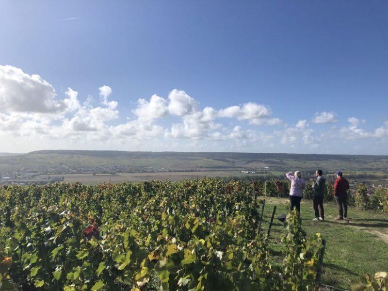 Paris: Private Day Trip to Champagne with 8 Tastings & Lunch - Who is This Tour Best For?