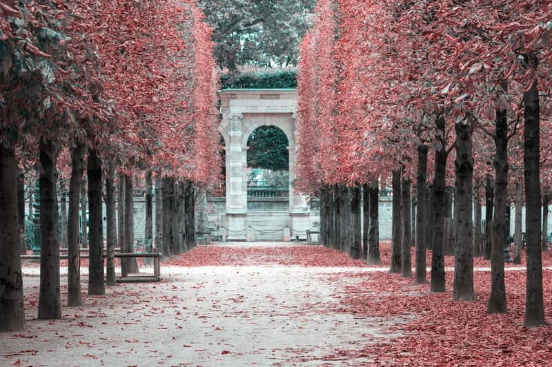 Paris: Private Full Day Tour-Louvre Sainte Chapelle Tickets - Who Should Consider This Tour?