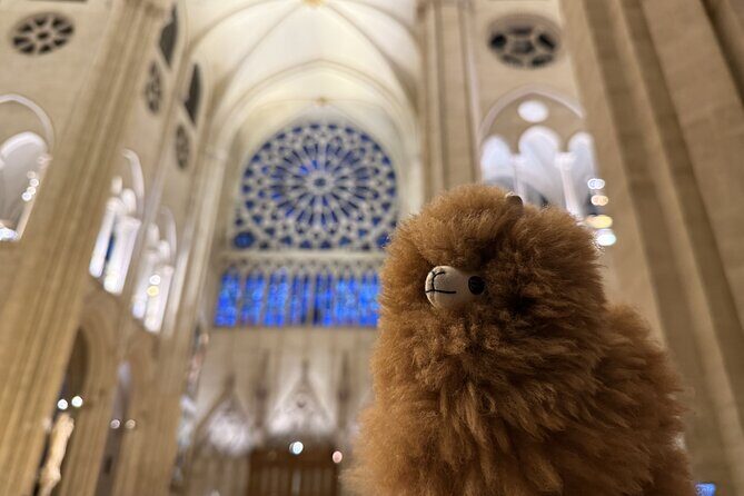 Paris Private Guided Walking Tour with Notre-Dame Outdoor - Who Should Consider This Tour?