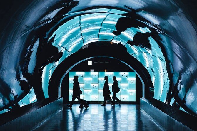 Paris Private transfer Orly Airport to Paris City - Who Will Love This Service?