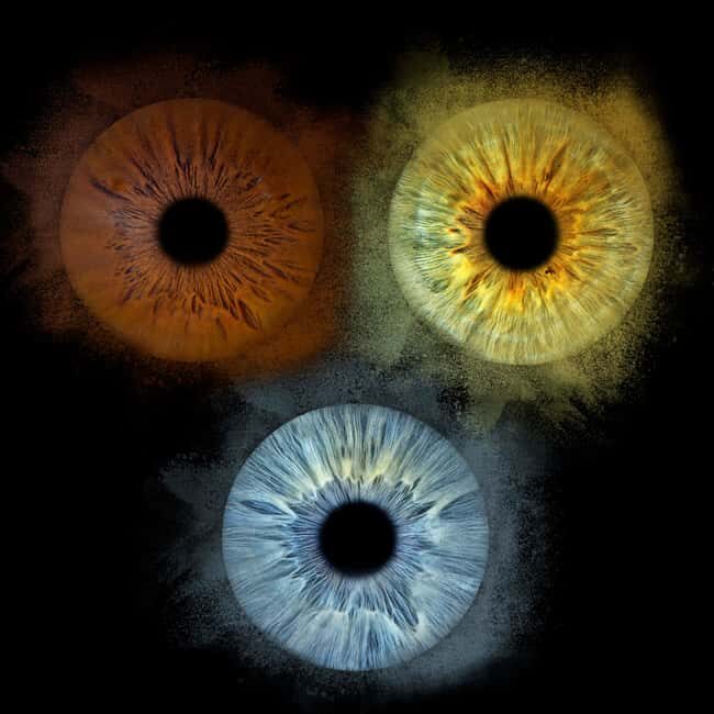 Paris: Professional Iris Photography with a Framed Print - Key Points