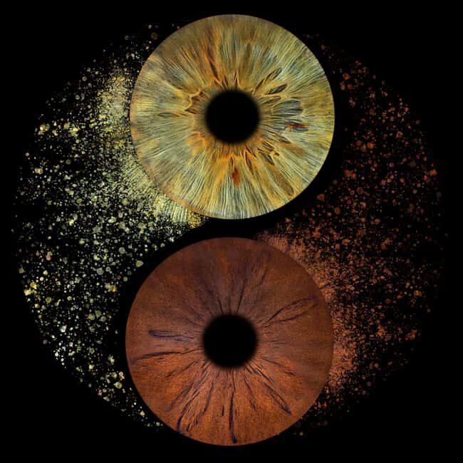 Paris: Professional Iris Photography with a Framed Print - Exploring the Experience in Detail