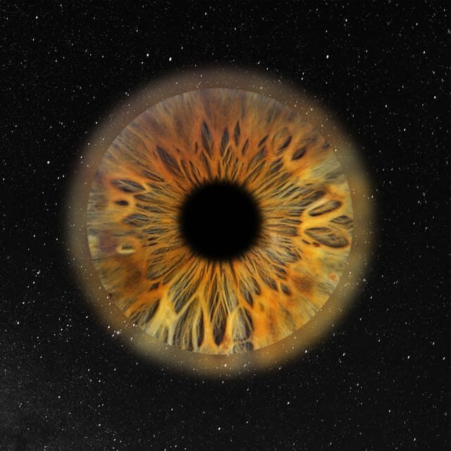 Paris: Professional Iris Photography with a Framed Print - Final Thoughts