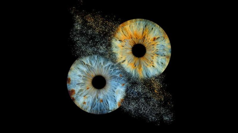 Paris Rivoli: Reveal the beauty of your iris with Iris Galerie - The Pros and Cons