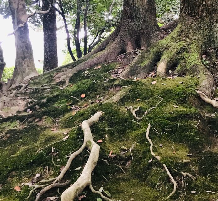 Paris Secret Gardens 1.30 hour long Walking Tour - Who Is This Tour Best Suited For?