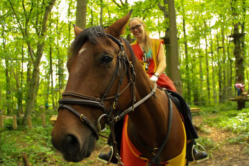 Paris : Sherwood Parc - Biggest Adventure Park Entry Ticket - What Do Visitors Say?