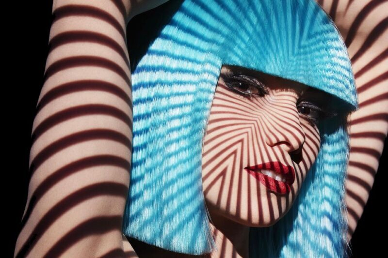 Paris: The Crazy Experience, a VIP tour of the Cabaret - The Show: Glamour and Artistry