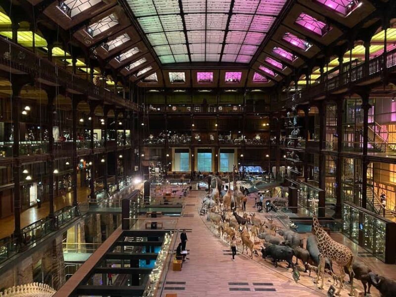 Paris: the Grande Galerie Ticket & Digital City Walk - Practical Details: What to Expect