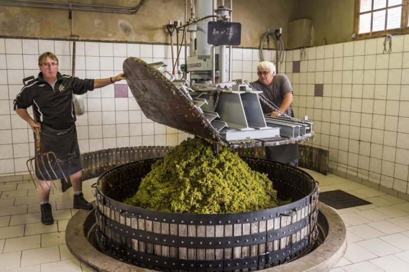 Paris: Two Reims Champagne Vineyards with Tastings and Lunch - Is the Price Worth It?