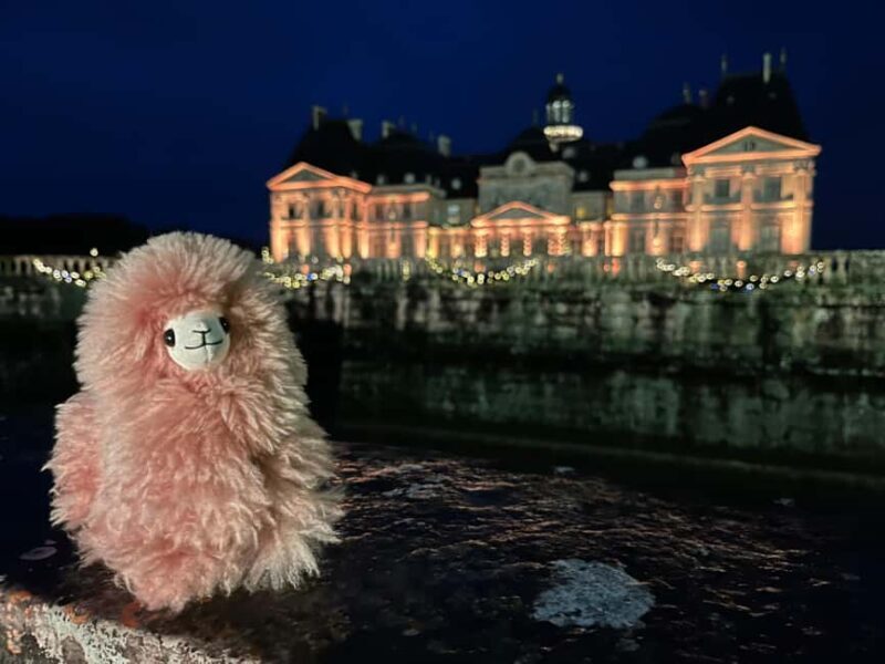 Paris: Vaux-le-Vicomte Private Guided Tour - Key Points