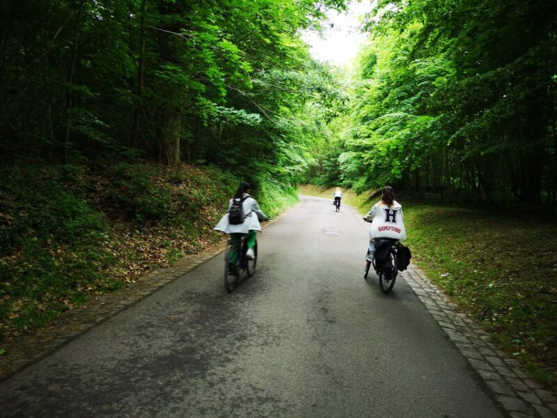 Paris: Versailles Palace and Queen Hamlet E-Bike Tour - FAQ