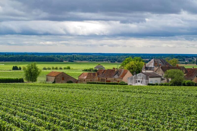 Paris VIP: Burgundy Wine Region Chauffeur Driven Tour 14 hrs - FAQs