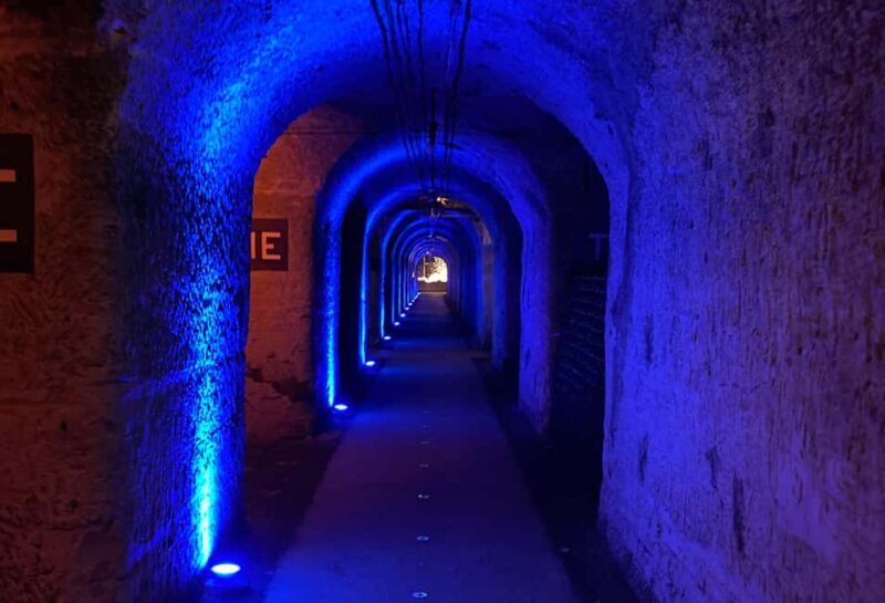 Paris Wine Day Tours all inclusive Champagne tour from Paris - Key Points