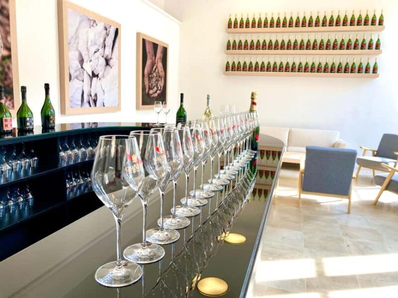 Paris Wine Day Tours all inclusive Champagne tour from Paris - What to Expect on This Champagne Day Trip