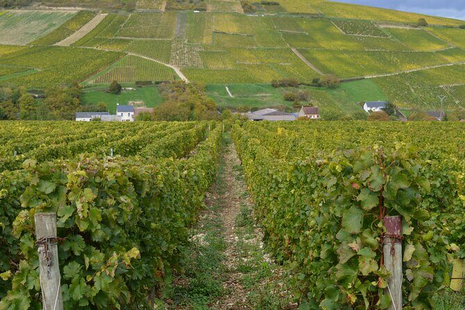 Paris Wine Day Tours exclusive wine tour in the Sancerre area - An Overview of the Experience