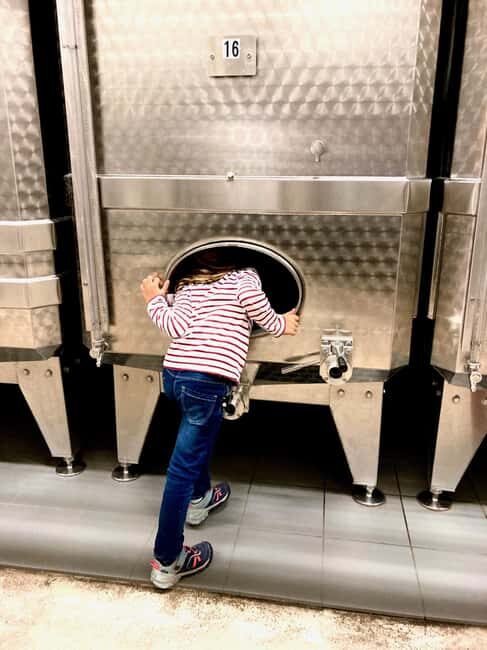 Paris Wine Day Tours - Sancerre wine tour from Paris - Key Points