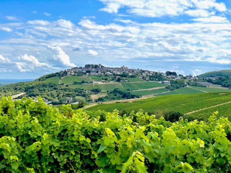 Paris Wine Day Tours - Sancerre wine tour from Paris - FAQ