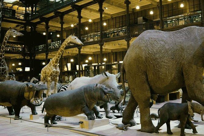 Paris with Kids Custom and Private Half-Day Tour - FAQs