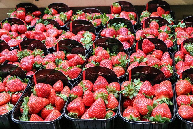 Parisian Happy Hour Food Tour with a Small Group - Final Thoughts