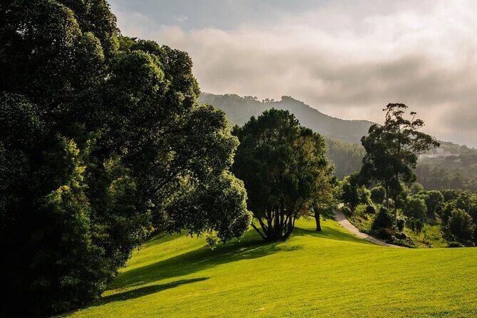 Park and Palace of Monserrate - Discovering Monserrate: A Closer Look