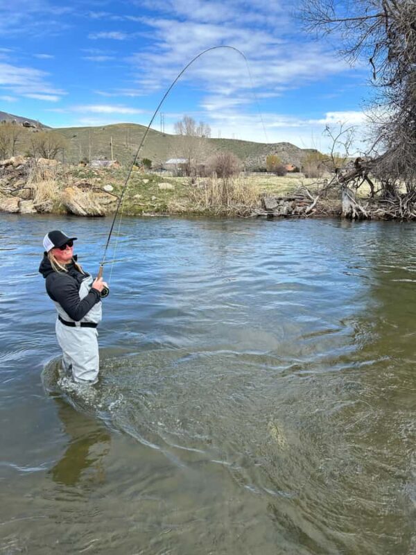 Park City: Guided Fly Fishing on Provo & Weber Rivers - Key Points