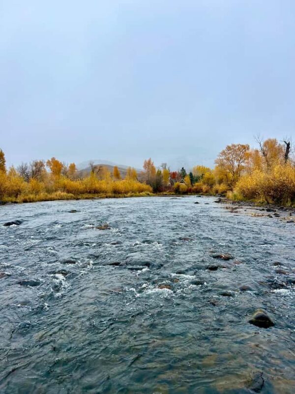 Park City: Guided Fly Fishing on Provo & Weber Rivers - An Introduction to Utah’s Fly Fishing Adventure