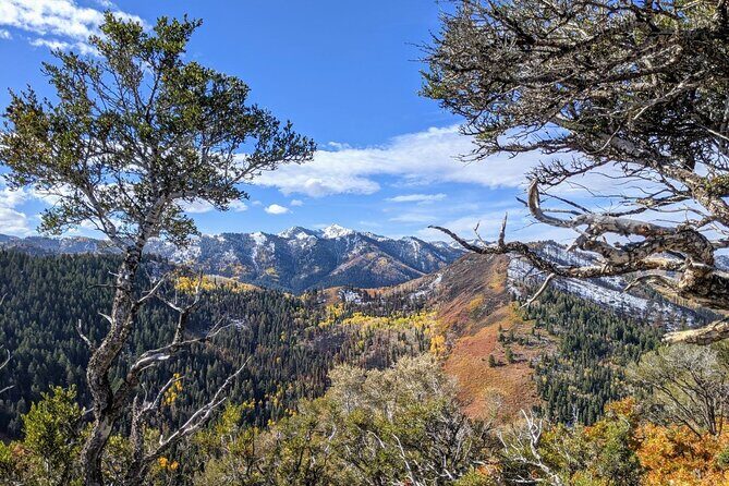 Park City Hiking Activity with Local Guide - The Sum Up: Is This the Right Hike for You?