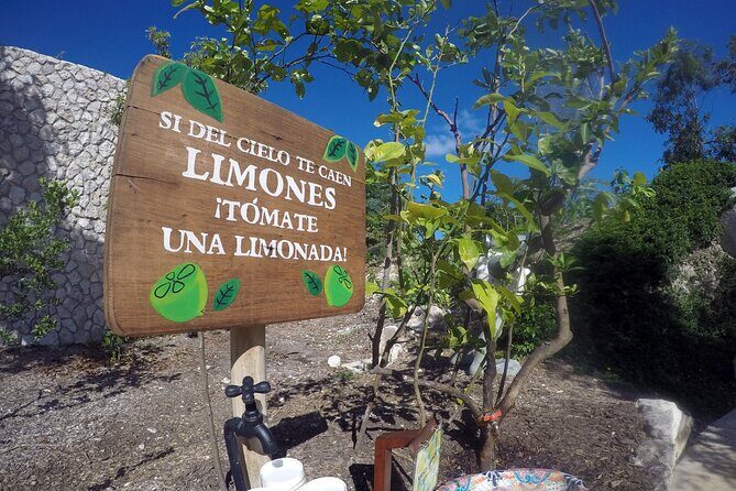 Park Xenses - The Best Pictures with Dimension only from Cancun - FAQ