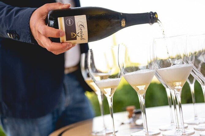 Parma Hills and Wine Tasting with Food Platter - Key Points