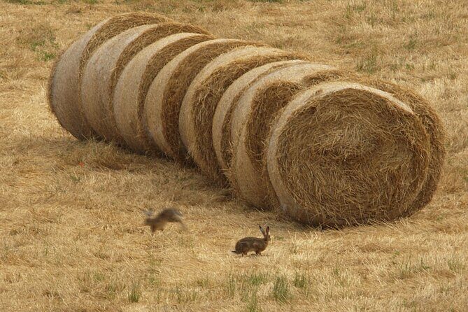 Parma Hillside Private Food Tour and Tasting - FAQs