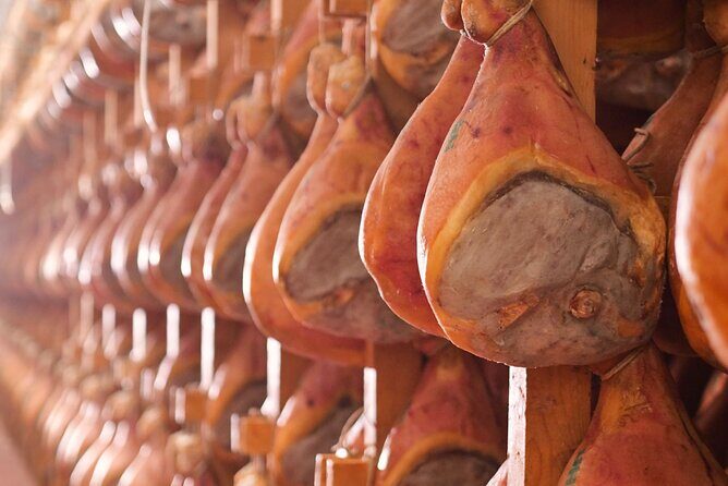 Parma: Parmigiano dairy, Parma Ham, & Wineyard Tour with Tastings - Who Should Consider This Tour?