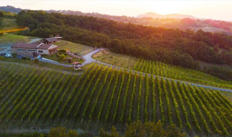 Parma: Winery Tour and tasting - The Wines and the Landscape