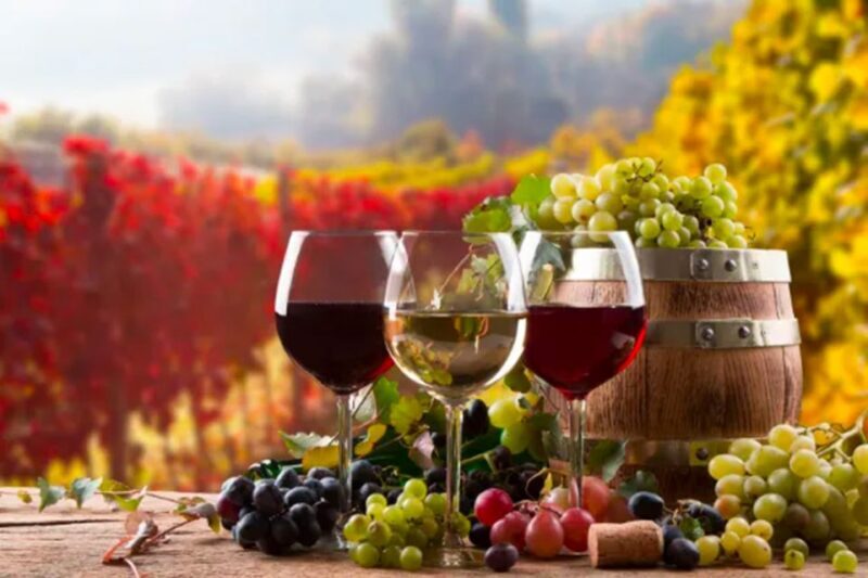 Parma: Winery Tour and tasting - Practical Information