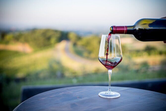 Parma Winery Tour, Wine Tasting & Local Delicacies with Transfer - What Travelers Say