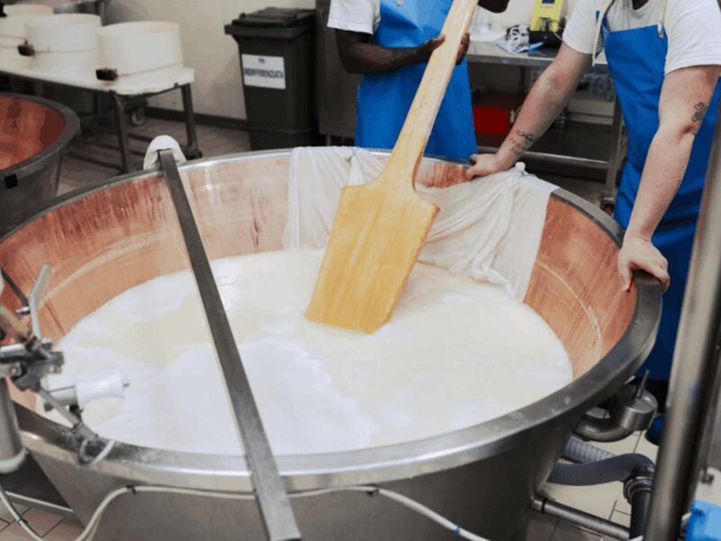 Parmesan Cheese Factory Tour & Tasting near Parma - What to Expect on the Tour