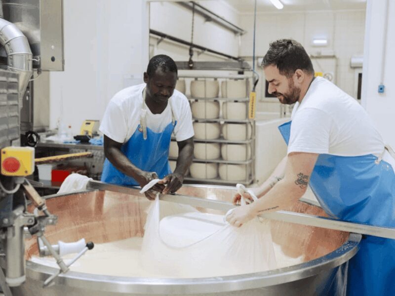 Parmesan Cheese Factory Tour & Tasting near Parma - Final Words