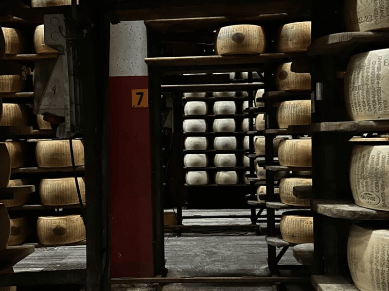 Parmesan Cheese Tour & Tasting in Modena - How the Experience Flows