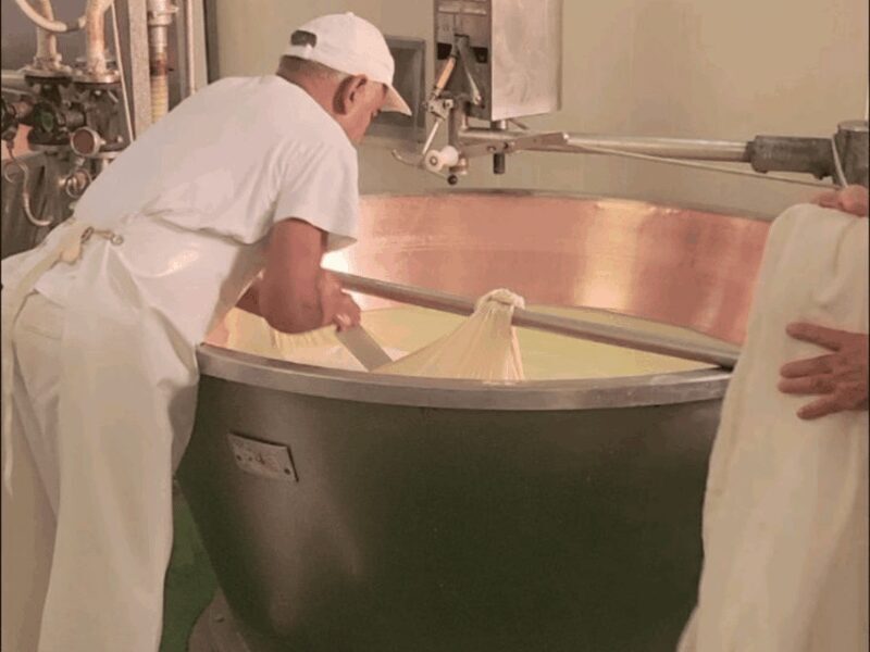 Parmesan Cheese Tour & Tasting in Modena - Pricing & Value