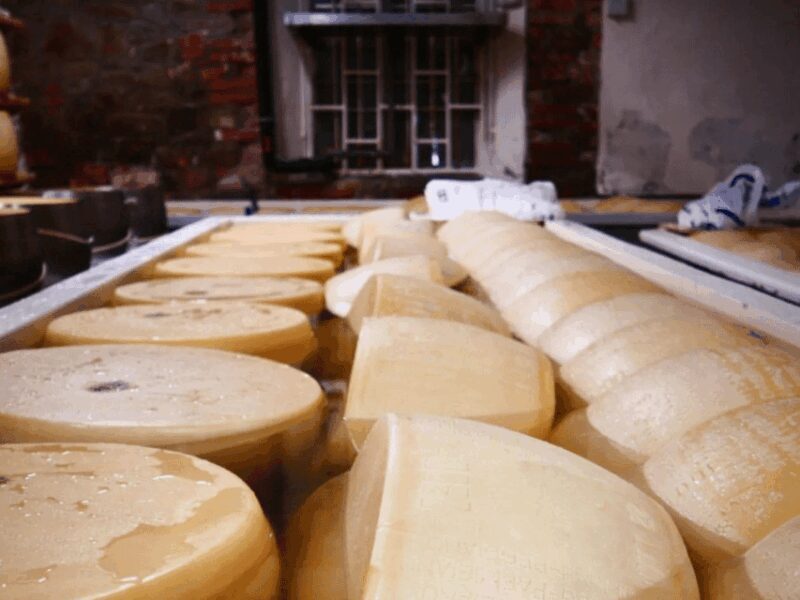 Parmesan Wheels near Parma: Tasting & Factory Tour - FAQ