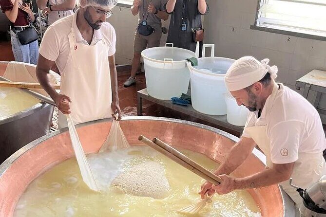 Parmigiano Cheese Factory Visit and Tasting - A Deep Dive into the Experience